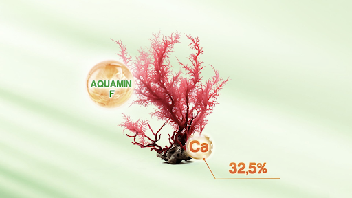 สารออกฤทธิ์ Aquamin F ประกอบด้วยแคลเซียมออร์แกนิก 32.5% ซึ่งเป็นสารออกฤทธิ์ระดับสูงสุด 